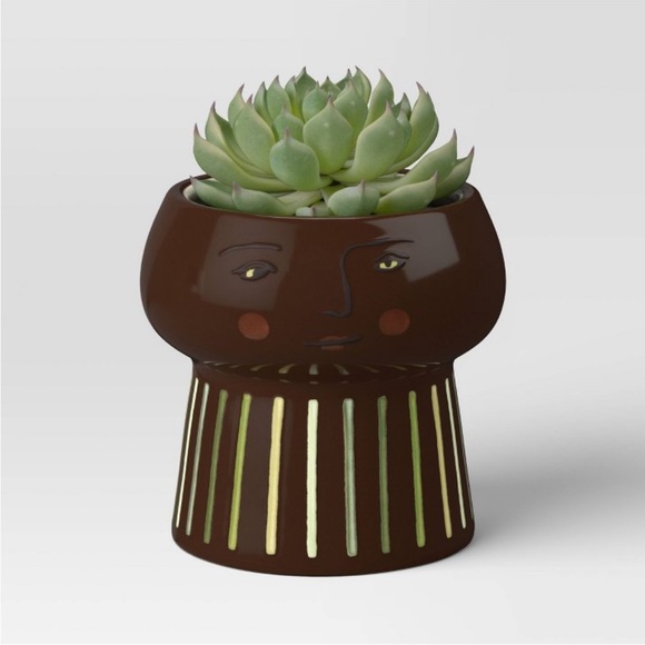 Opalhouse Accents New Opalhouse Outdoor Ceramic Family Planter 35